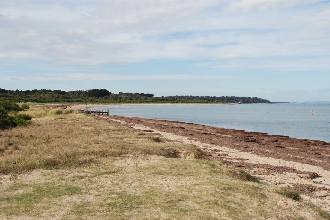 Balnarring Beach